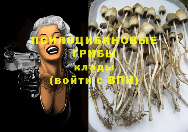 кокс Аркадак