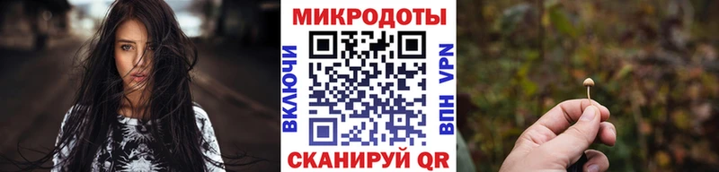 купить цена Киреевск Псилоцибиновые грибы Psilocybe