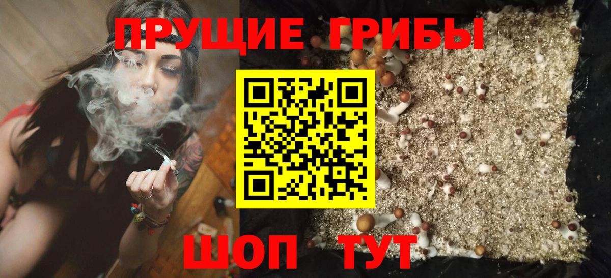 Псилоцибиновые грибы GOLDEN TEACHER  Галлюциногенные грибы мицелий  Вход с VPN  Киреевск 